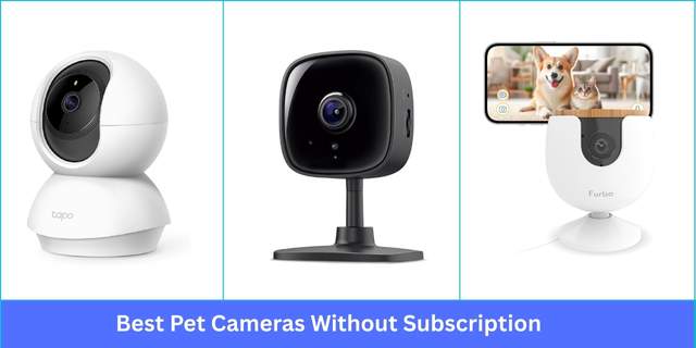 Best Pet Cameras Without Subscription